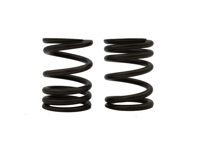 ΕΛΑΤΗΡΙΑ ΒΑΛΒΙΔΩΝ RACING HONDA ASTREA GRAND X 110i (2016-2026) / HONDA WAVE 110i (2012-2016) (TOBAKI)