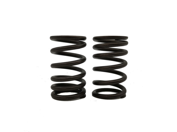 ΕΛΑΤΗΡΙΑ ΒΑΡΒΙΔΩΝ RACING (2.9MM X 38MM) HONDA ASTREA GRAND 100 (1991-1998) / HONDA ASTREA SUPRA 100 (1999-2001) (TOBAKI)