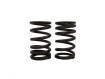 ΕΛΑΤΗΡΙΑ ΒΑΡΒΙΔΩΝ RACING (2.9MM X 38MM) HONDA ASTREA GRAND 100 (1991-1998) / HONDA ASTREA SUPRA 100 (1999-2001) (TOBAKI)