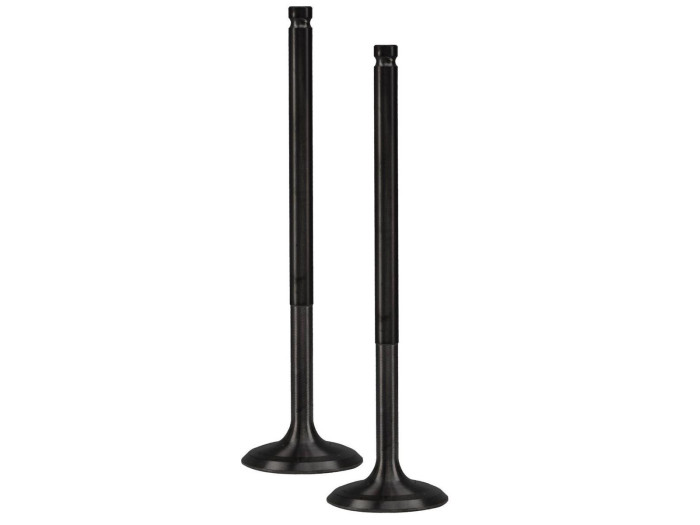 ΒΑΛΒΙΔΕΣ ΕΙΣΑΓΩΓΗΣ-ΕΞΑΓΩΓΗΣ RACING (28MM-24MM) ΣΕΤ YAMAHA CRYPTON 105 (97'-04') / R115 (05'-07') / T110 (09'-16') (TOBAKI)