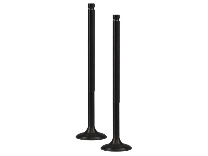 ΒΑΛΒΙΔΕΣ ΕΙΣΑΓΩΓΗΣ RACING (27MM) ΣΕΤ YAMAHA CRYPTON X 135 (2007-2015) (TOBAKI)