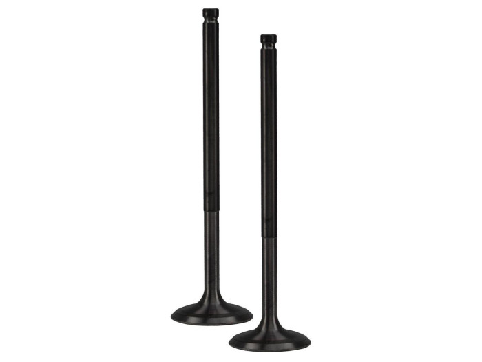 ΒΑΛΒΙΔΕΣ ΕΙΣΑΓΩΓΗΣ-ΕΞΑΓΩΓΗΣ RACING (27MM-23MM) ΣΕΤ YAMAHA CRYPTON 105 (1997-2004) / R115 (2005-2007) / T110 (2009-2016) (TOBAKI)